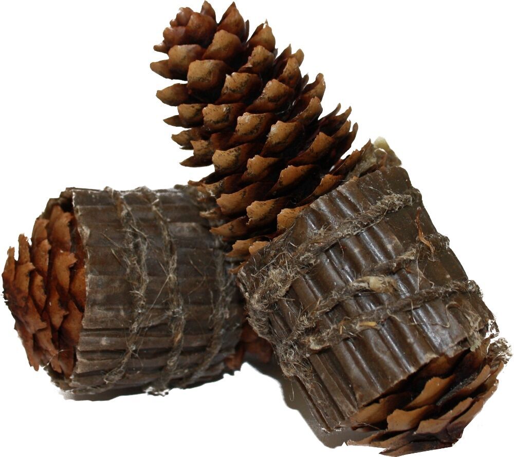 100x Zapfenzünder Pappe umwickelt - Ein echtes Naturprodukt für Kamin + Ofen + Grill - Herstellung ist Handarbeit  von ZapfenZünder