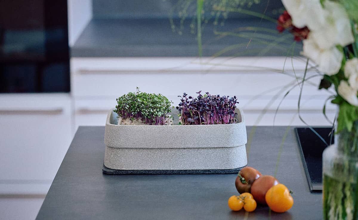 DENK Keramik Mikrogarten XL-SET Pflanzstation für Microgreens Granicium® | MGXL von DENK Keramik