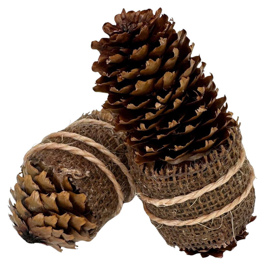 100x Zapfenzünder Jute umwickelt - Ein echtes Naturprodukt für Kamin + Ofen + Grill - Herstellung ist Handarbeit von ZapfenZünder