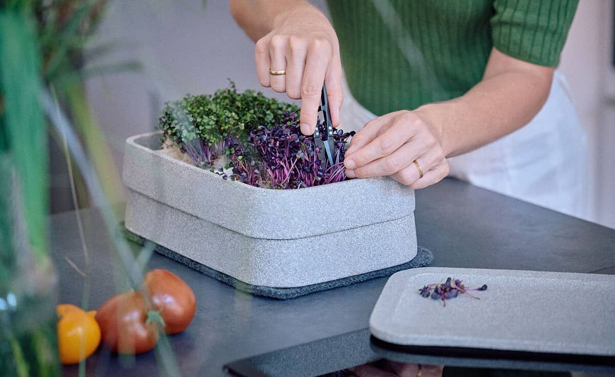 DENK Keramik Mikrogarten XL-SET Pflanzstation für Microgreens Granicium® | MGXL von DENK Keramik